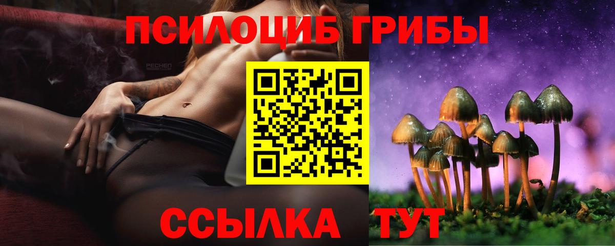 Галлюциногенные грибы Magic Shrooms Берёзовский